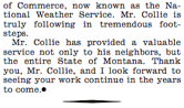 Collie