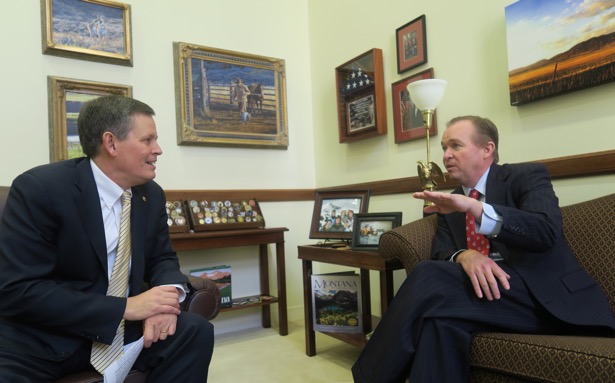 Mulvaney
